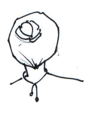 collier one over croquis back collier one over croquis back